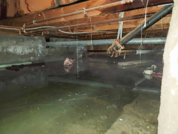 Best Residential water damage restoration  in Forest Hill, TX