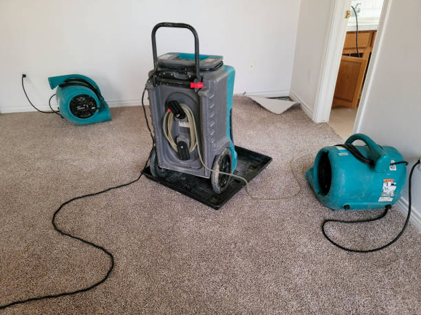 Best Water damage restoration services  in Forest Hill, TX