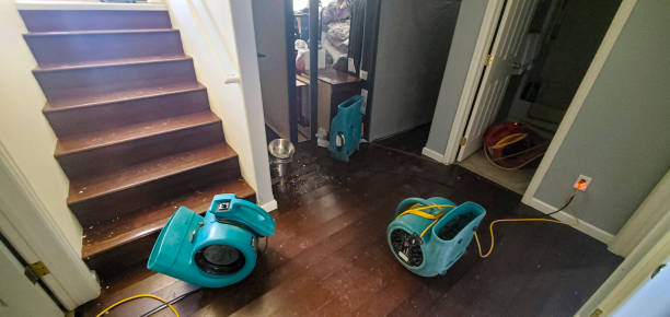 Reliable Forest Hill, TX Water damage restoration Solutions