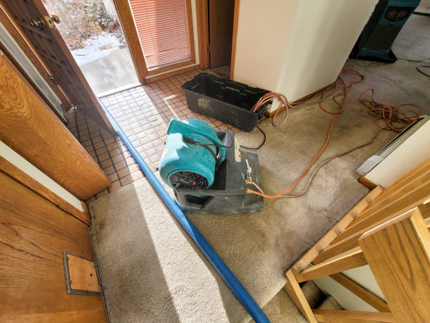 Best 24-hour water damage restoration  in Forest Hill, TX