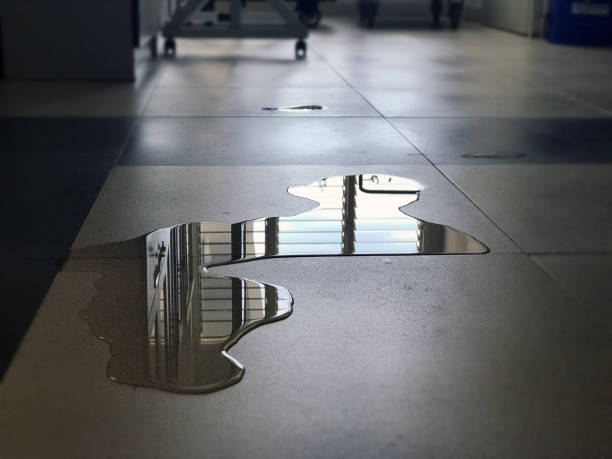 Best Water damage restoration cost  in Forest Hill, TX