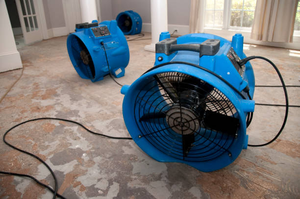 Best 24-hour water damage restoration  in Forest Hill, TX