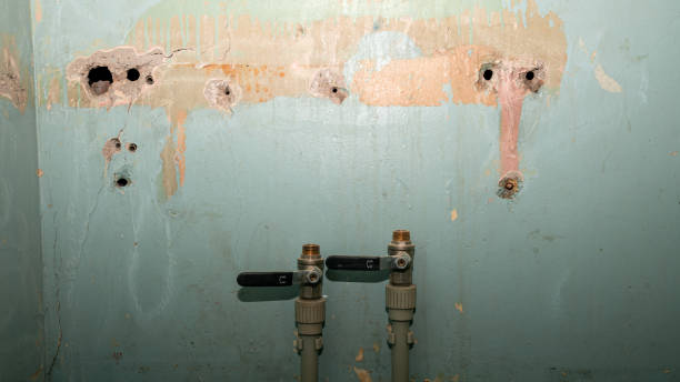  Forest Hill, TX Water damage restoration Pros