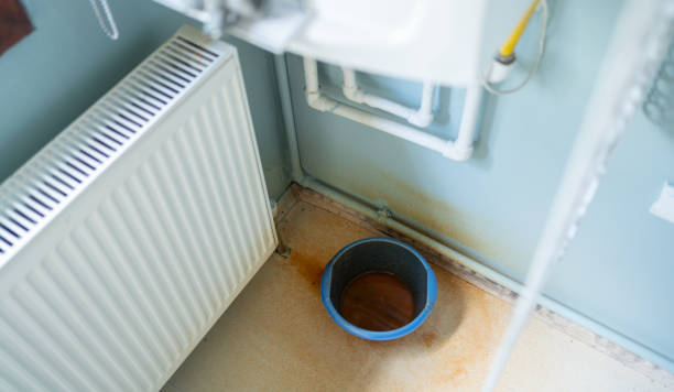 Best Carpet water damage restoration  in Forest Hill, TX