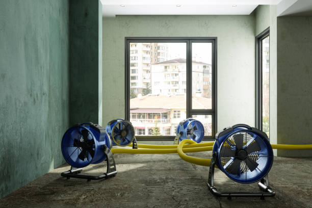 Best Emergency water damage restoration  in Forest Hill, TX