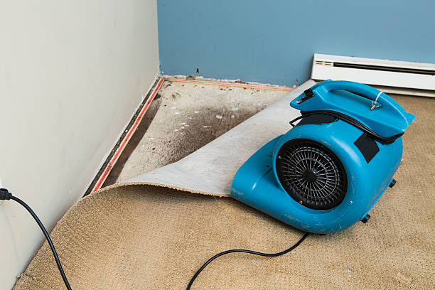 Best Commercial water damage restoration  in Forest Hill, TX