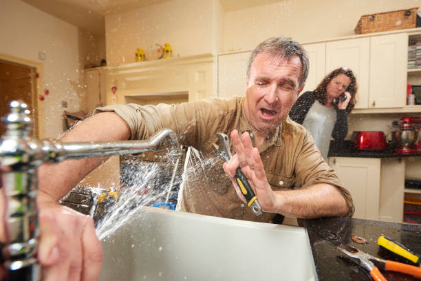 Best Local water damage restoration  in Forest Hill, TX